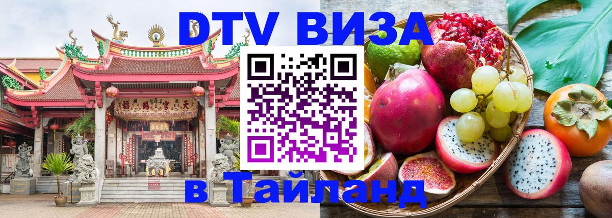 Оформление DTV визы под ключ: стоимость и тарифы, только загранпаспорт - 04.10.2025 